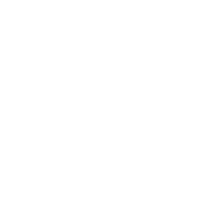 Telefon icon